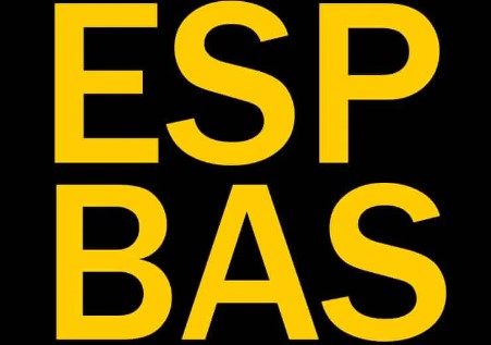 What is the Chrysler Esp Bas Warning Light