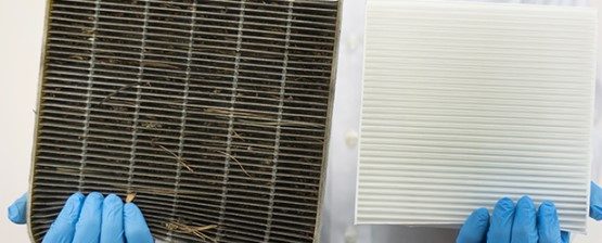 Dirty cabin air filter fan housing