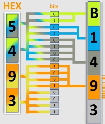 What are the Possible Causes of the DTC Code B1493 Hyundai