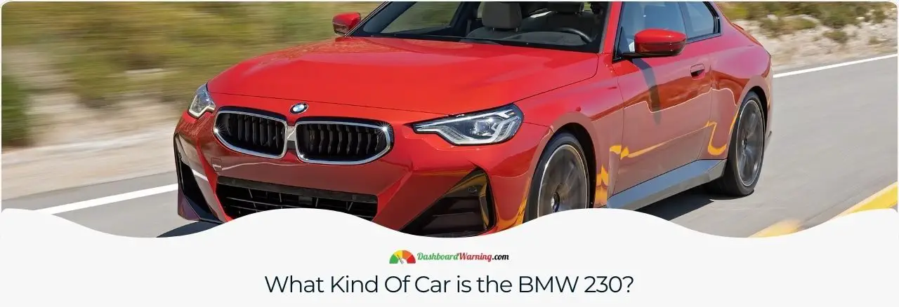 Description of the BMW 230, including its class, style, and general features.
